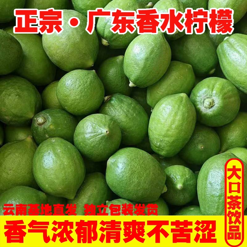 正宗广东香水柠檬新鲜青柠檬广州当季奶茶店专用无籽香型一二级果