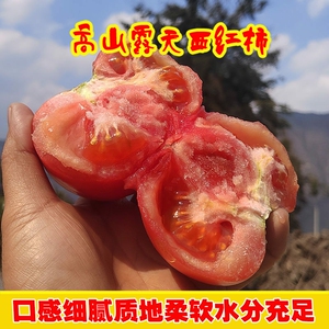 高山露天沙瓤西红柿5斤【中果180-230克】