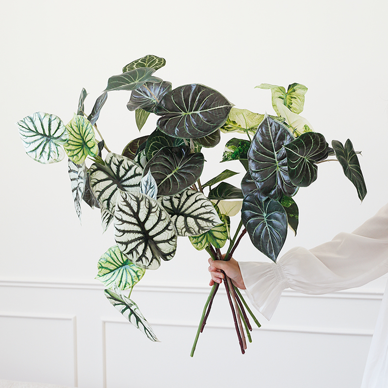 栀美家仿真绿植海芋叶彩芋叶