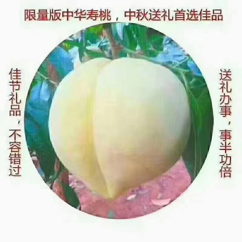 中华福寿桃，新鲜现摘脆甜多汁，桃
