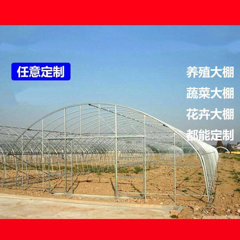 种植温室蔬菜大棚花卉草莓暖棚农业钢架养殖骨架镀锌钢管配件|ruв категории доставка цветов/цветок моделирования/растения садоводства, садовых принадлежностей, других садовых принадлежностей - от Buy2taobao.com для оказания профессиональной услуги покупки агента Taobao