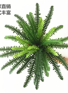厂家 仿真植物肾蕨 丝印大号波斯草 景观花艺装饰波斯顿蕨类