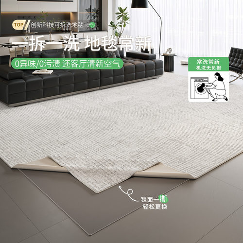 意式地毯客厅可机洗新款防水防污轻奢高级可拆洗家用卧室加厚地毯