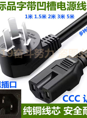 适用山佳全自动煎药器808a.808b 煎药壶.煎药锅电源线带凹槽三孔