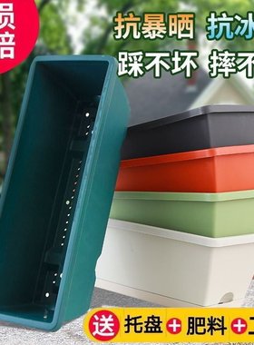 阳台种菜盆长方形种菜盆