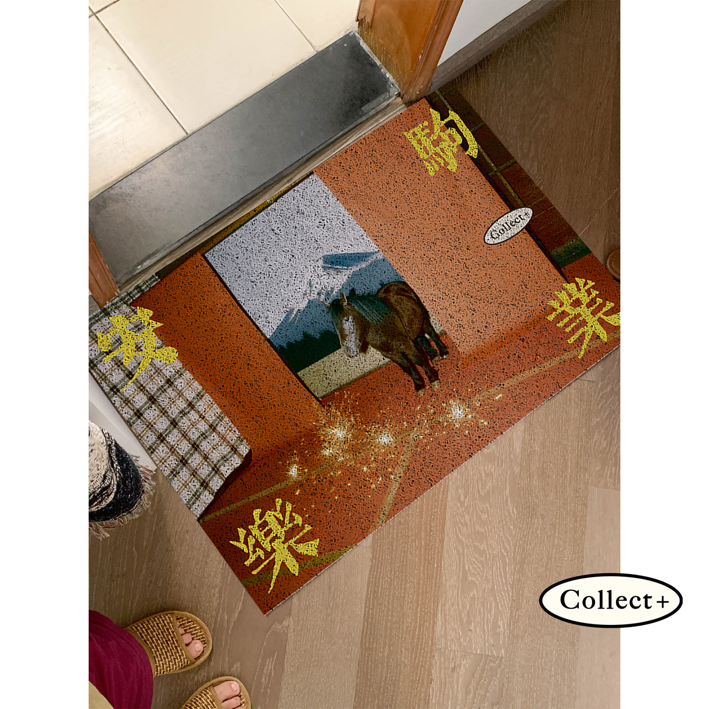 2026马年丝圈地垫入户门脚垫