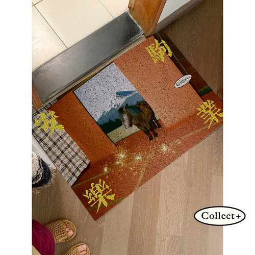 丝圈地垫入户门脚垫耐脏垫子