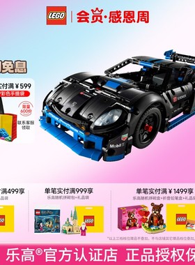 LEGO乐高机械组42176保时捷GT4遥控赛车儿童益智拼装积木玩具潮玩
