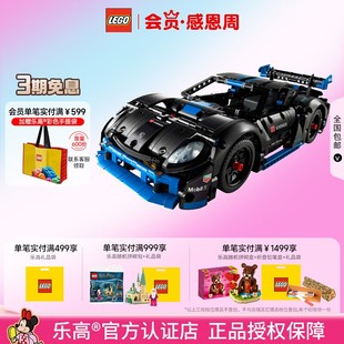 LEGO乐高机械组42176保时捷GT4遥控赛车儿童益智拼装 积木玩具潮玩
