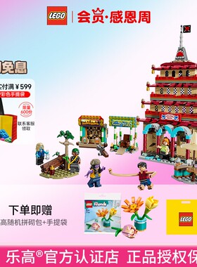 LEGO乐高75638恶龙乐园之战海贼王拼搭积木模型男孩玩具男孩礼物