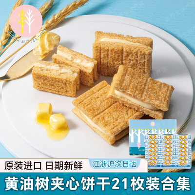 大盒装伴手礼日本进口黄油树饼干