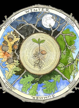 塔罗桌布 四季元素绒布 塔罗牌垫 罗牌桌布 桌垫 神秘娱乐桌垫