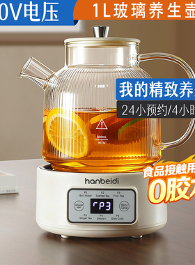 110V养生壶小容量煮茶器出口美国