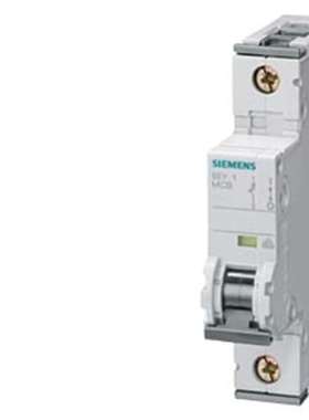 Siemens 5SY8108-8 西门子 SENTRON 5SY8 MCB 1P 8A 曲线 D 400V