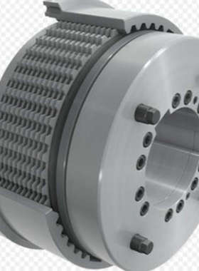 Ortlinghaus 0-422-101-25-000-300 制动器 旋转法兰