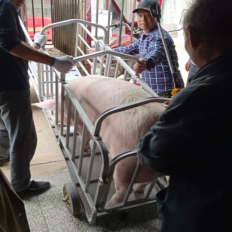 定制猪笼子猪场用运猪笼装猪笼多功能养殖肥猪称重拉母猪称猪笼装