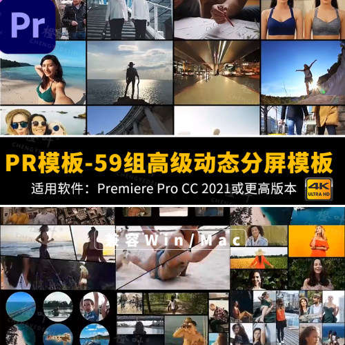 PR模板21版以上用59组热门动态分屏预设多画面多窗口组合分屏插件
