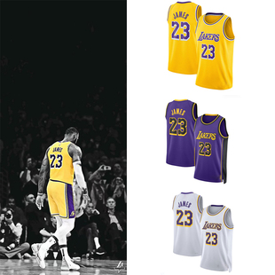 詹姆斯23号球衣戴维斯里夫斯布朗尼湖人篮球服背心科比尼克扬威少