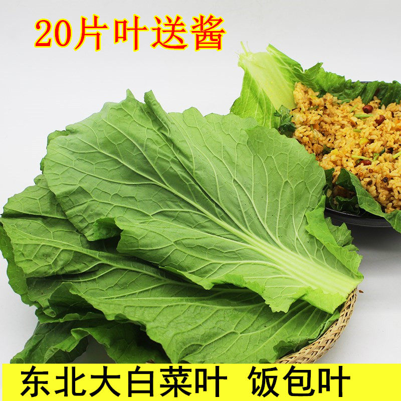 东北白菜叶 饭包大白菜叶子包邮免运费 20片新鲜蔬菜 大饭包叶