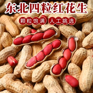东北新鲜红皮花生四粒红带壳生花生仁花生米农家自种晒干煮炒食用