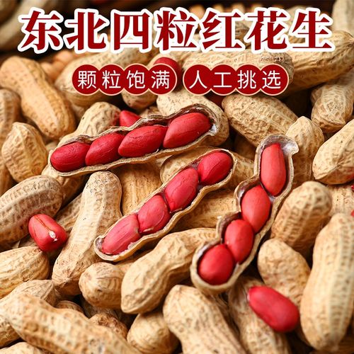 东北新鲜红皮花生四粒红带壳生花生仁花生米农家自种晒干煮炒食用
