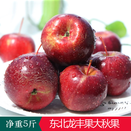 东北123小苹果甜新鲜水果