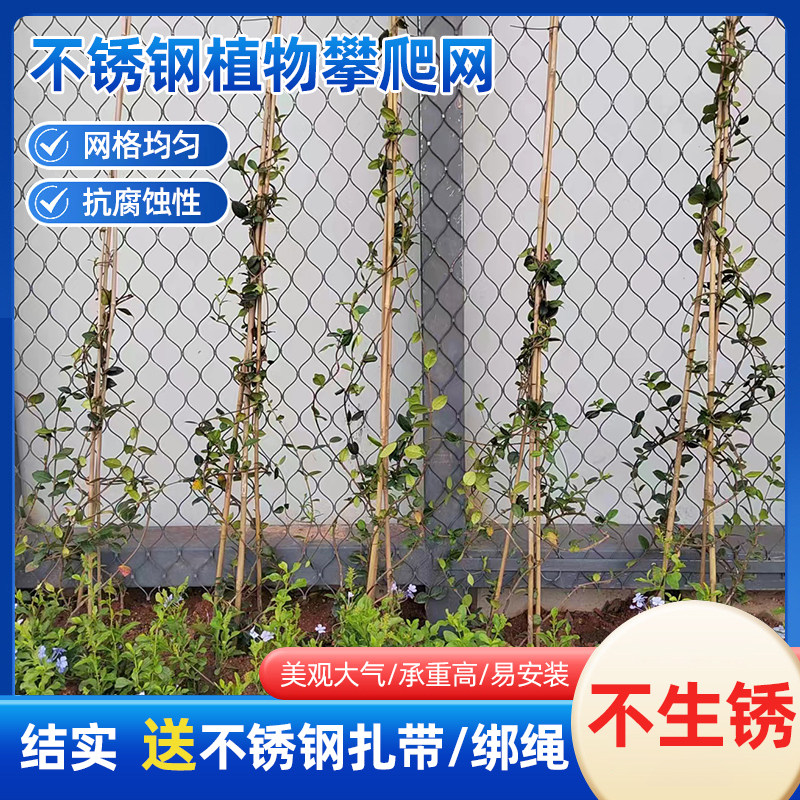 爬藤网月季茉莉蔷薇植物攀爬网庭院花墙网菱形钢板网园艺支架网