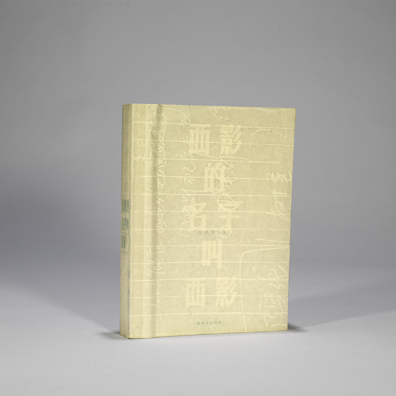 西影的名字叫西影《西影的名字叫西影》——操盘独白，涅槃密码 2024年中国“最美的书”