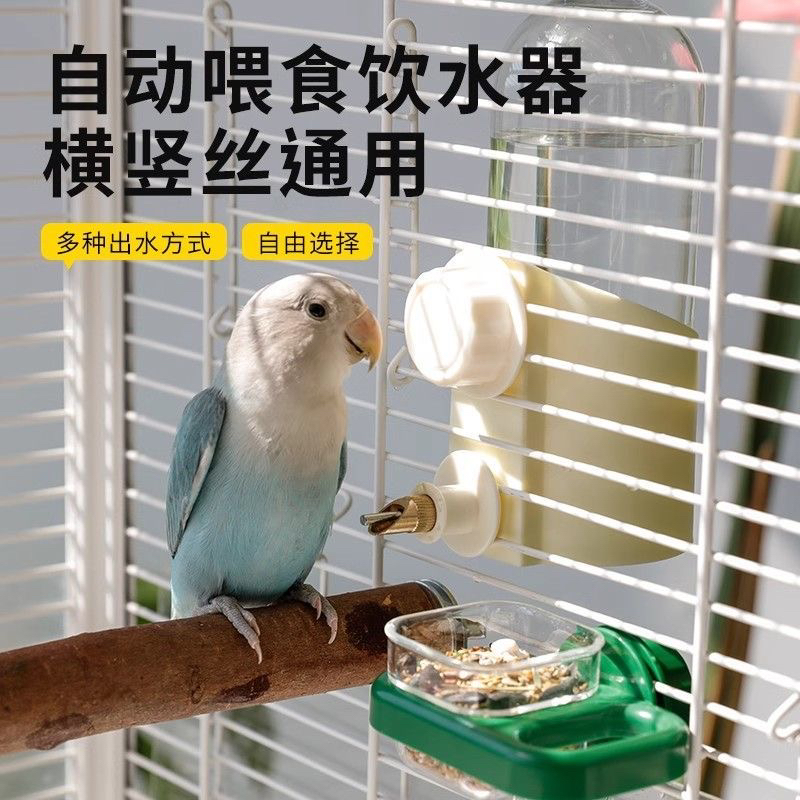 鹦鹉鸟用撞针自动水壶饮水器玄凤水器八哥虎皮牡丹喝水食盒喂食