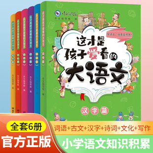 这才是孩子爱看 大语文全套6册古文汉字词语诗词文化写作课外阅读训练儿童词语积累语文素养提升语文基础知识拓展与练习阅读书籍