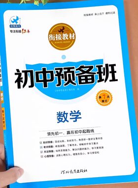 初一数学专题训练小升初