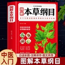 药方医药全书黄帝内经中药材中草药全注全译中医书籍全套原版 本草纲目正版 李时珍全彩图解白话文典藏版 药草书中医养生入门大全经典