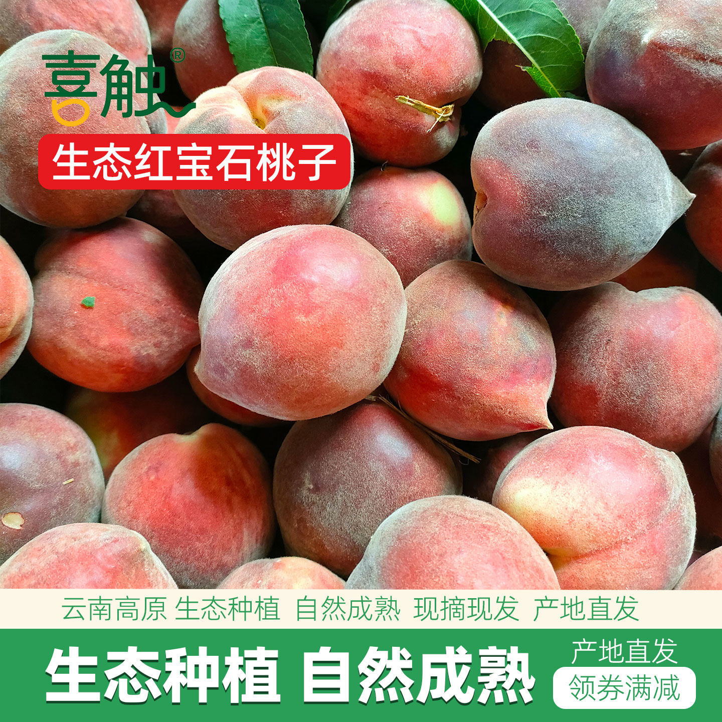 290+农残检测通过】云南高原生态种植红宝石桃子新鲜水果自然成熟