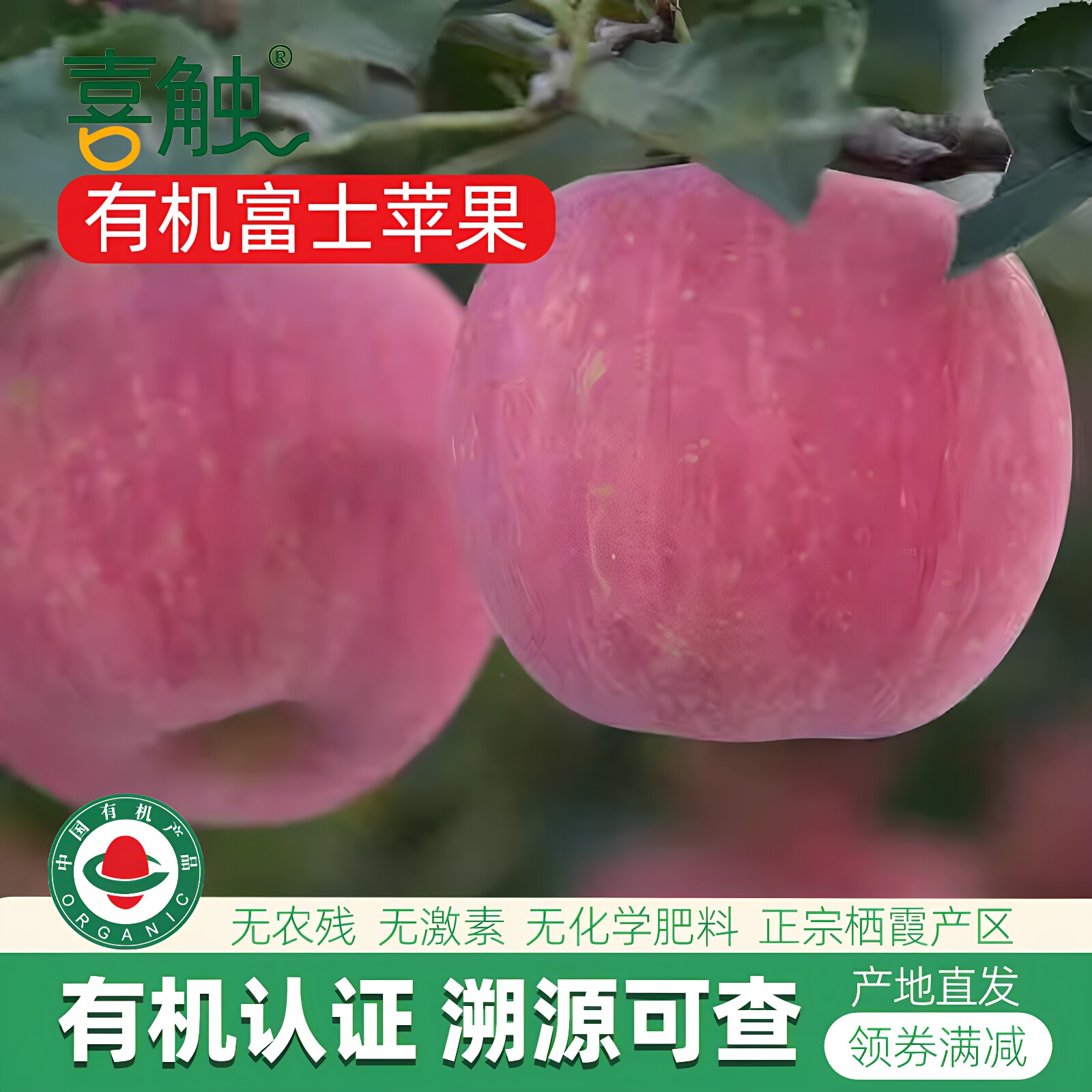 2025年新果山东栖霞有机红富士70mm小小果10斤无农药不打蜡鲜苹果