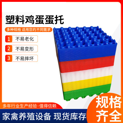 塑料蛋托30枚装鸡蛋长途运输周转托环保防震加厚抗老化防摔鸡蛋托