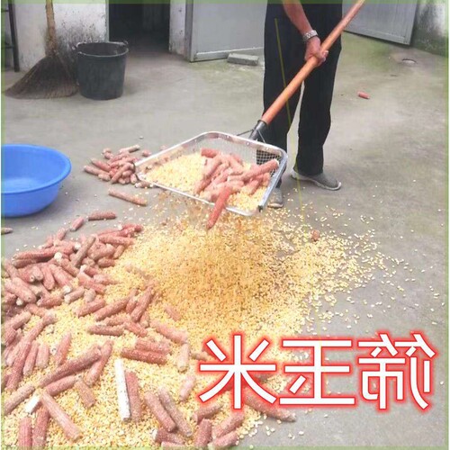 加厚新款型筛土神器家用过滤筛网花生玉米板栗筛土铲筛子漏土神器