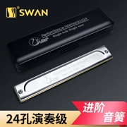 Swan 24 lỗ đơn hàng hòa âm đơn điệu C trình diễn chuyên nghiệp người lớn mới bắt đầu trẻ em học sinh nhạc cụ tiên tiến - Nhạc cụ phương Tây