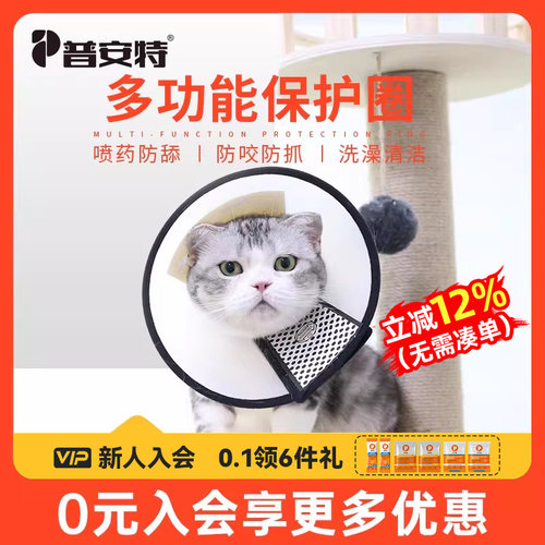 普安特伊丽莎白圈猫咪防舔神器