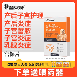 普安特宫保片母猫咪产后下奶护理宠物狗狗子宫蓄脓乳腺炎症排脓清