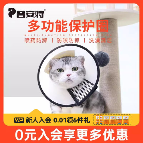 普安特伊丽莎白圈猫咪防舔神器