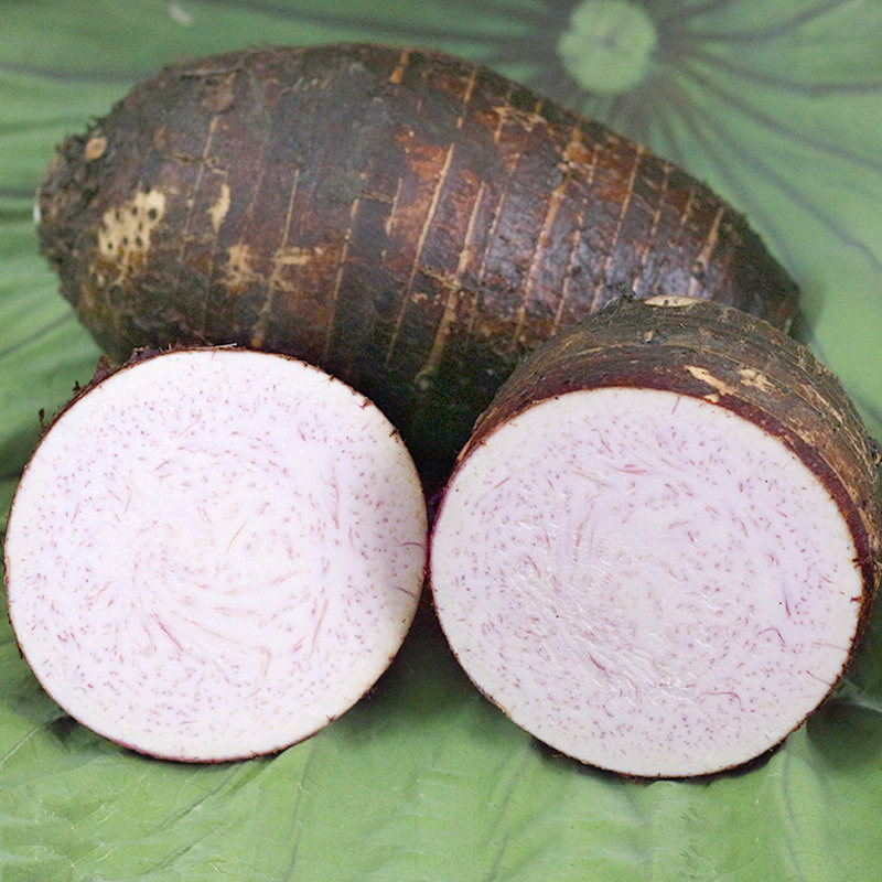 新鲜广西荔浦芋头 毛芋槟榔芋桂林紫藤香芋农家蔬菜5斤装包邮