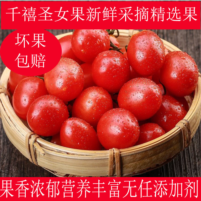 千禧圣女果5斤汁多现摘现发新鲜千玺圣果水果红樱桃番茄迷彩圣果