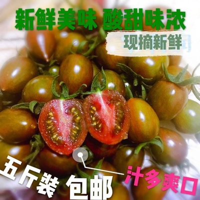 西红柿新鲜现摘紫千禧迷彩番茄