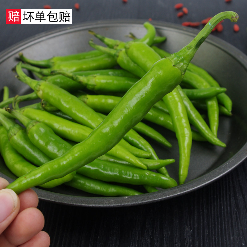 5斤农家自种精品杭椒长线椒2500g 辣椒长辣椒新鲜蔬菜直供菜市场