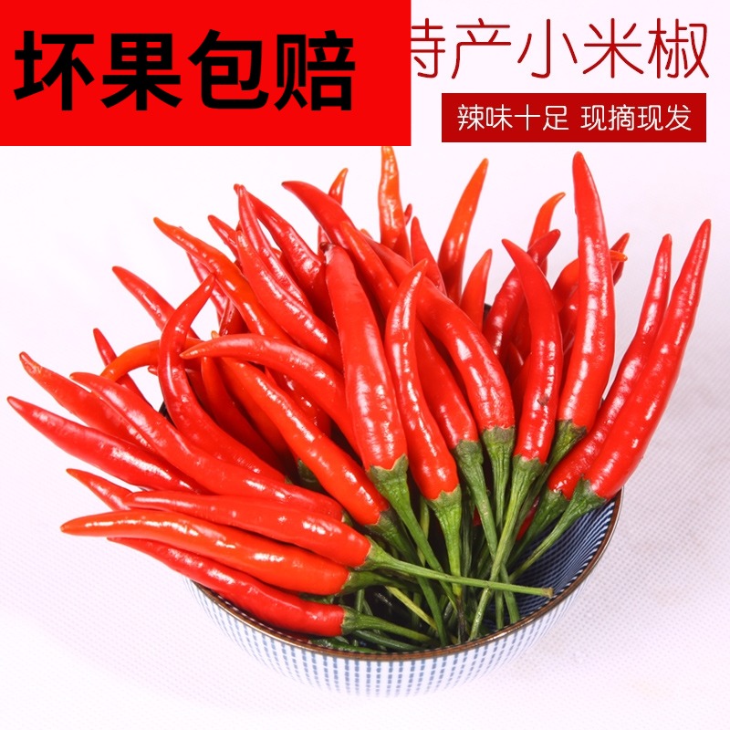 云南新鲜小米椒红辣椒特辣朝天椒小尖椒净重1斤小米辣新鲜蔬菜