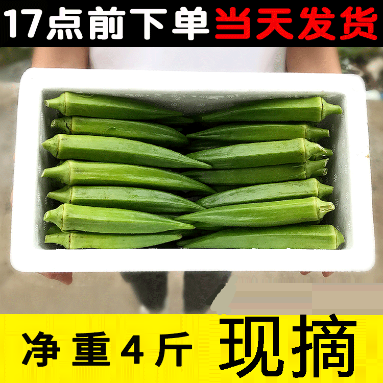 【自種發貨快】【水果秋葵】新鮮秋葵 蔬菜黃秋葵現摘現發淨重4斤在類目 水產肉類/新鮮蔬果/熟食, 新鮮蔬菜/蔬菜製品, 秋葵中 - 來自Buy2taobao.com提供專業的淘寶代購服務