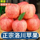 整箱红富士一级 陕西正宗洛川苹果水果新鲜当季 百亿补贴