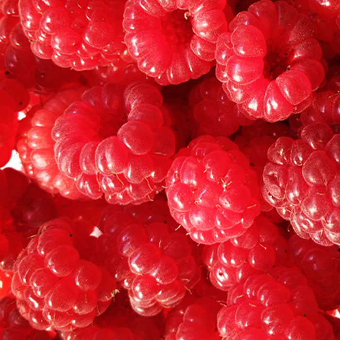 [goods in stock]goods in stock Shunfeng fresh raspberry Raspberry Juice Jam Red Raspberry Rarein the Aquatic meat/Fresh fruits and vegetables/Cooked , Fresh fruit , Other  category - from Buy2taobao.com to provide professional Taobao agent buy service