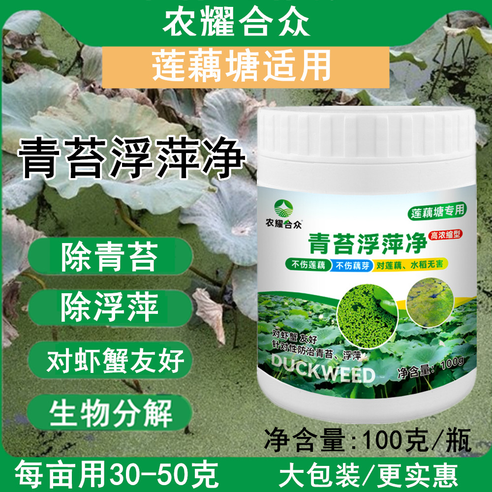 青苔浮萍净莲藕专用药藕蛆灵