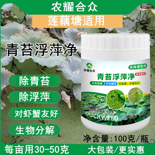 青苔浮萍净水稻田莲藕塘专用除藻剂除福寿螺水蜗牛 莲藕药 藕蛆灵